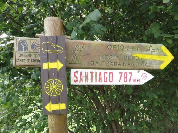 En El Corazon De Orio - Donostia -Reformado- Wifiアパートメント エクステリア 写真